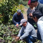 promotores-agricultura-ecuador